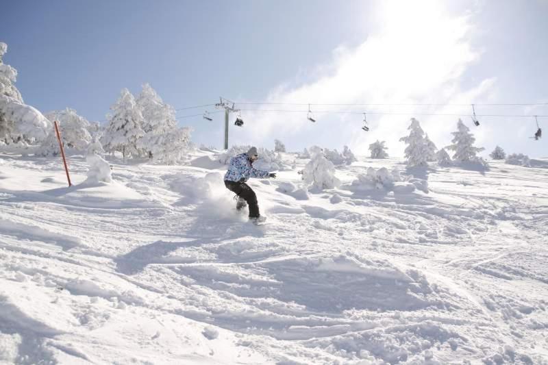 Ski & Nature Javalambre Camarena de la Sierra Eksteriør bilde